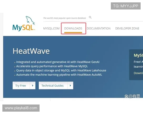 官方授权的ag平台下载官网，提供完整的软件下载和安装教程