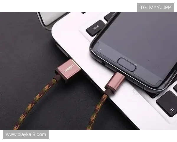 开云真人app客服账号安全设置与密码保护指南，防止账号被盗